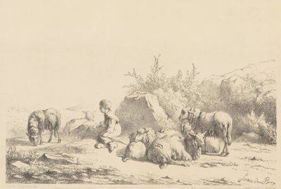 Herde och får av Simon van den Berg