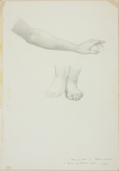 Arm and Feet, studie för Mirror of Venus av Sir Edward Burne Jones