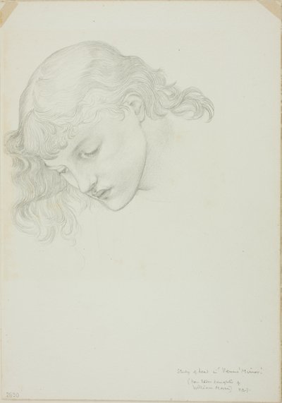 Head, Studie för Mirror of Venus av Sir Edward Burne Jones