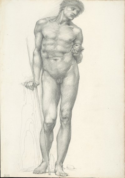 Paris med guldäpplet i vänster hand, för Trojatriptyken (skissbok #2638) av Sir Edward Burne Jones