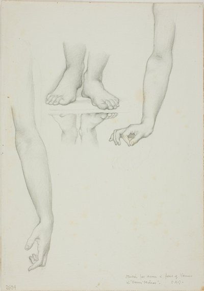 Studie för Mirror of Venus: Arms and Feet of Venus av Sir Edward Burne Jones