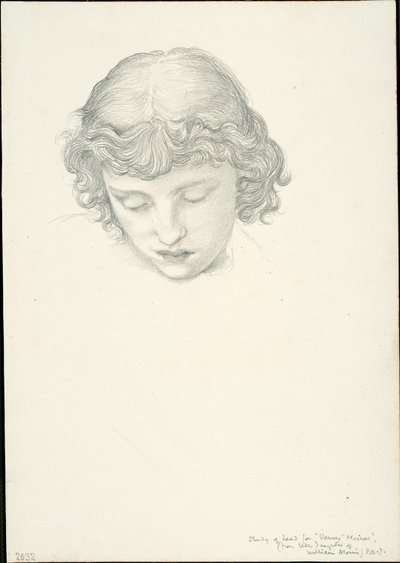Studie för Mirror of Venus: Head av Sir Edward Burne Jones