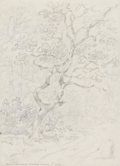 Träd, nära Lausanne av Sir George Howland Beaumont seventh Baronet