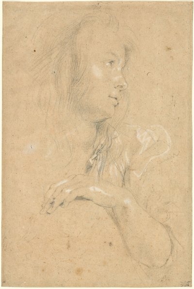 Ung kvinna i profil av Sir Peter Paul Rubens