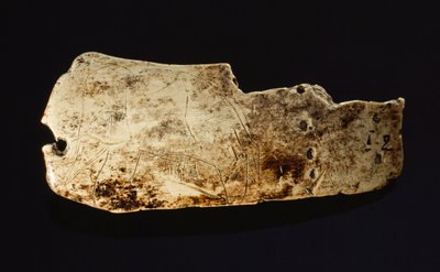 Bilden av en mammut är snidad i elfenben från en förhistorisk mammut. av Sisse Brimberg