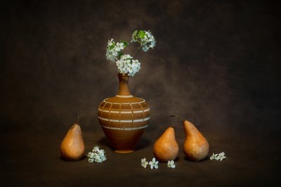 Rustikt stilleben med blommor av Siyu_Wei APA