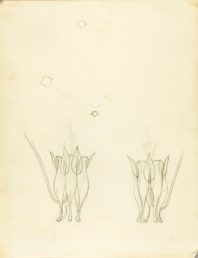 Acacias av Solon H. Borglum