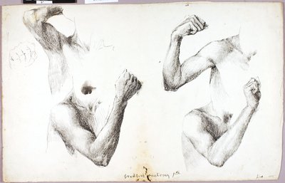 Four Arm Studies, #1 av Solon H. Borglum