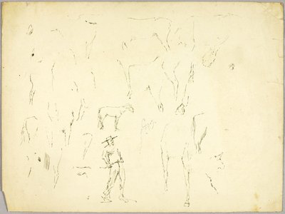 Studie av hästar av Solon H. Borglum