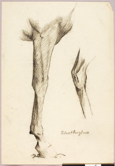 Studie av hästar av Solon H. Borglum