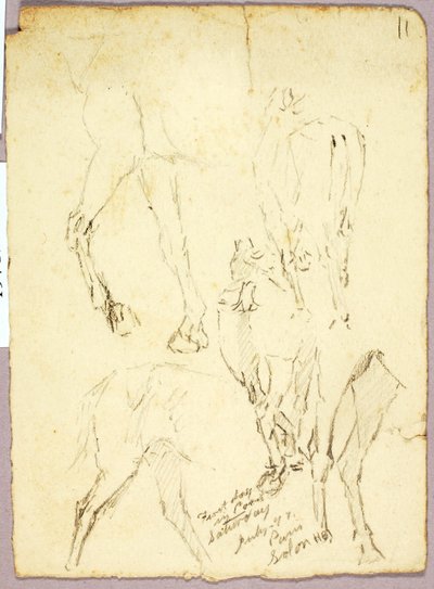Hästar av Solon H. Borglum