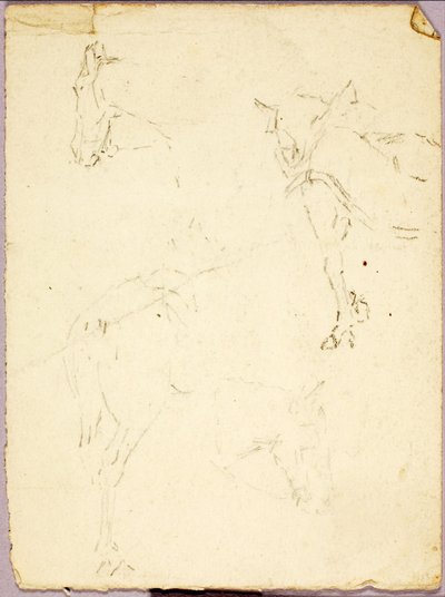 Hästar av Solon H. Borglum
