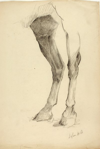 Hästens ben av Solon H. Borglum