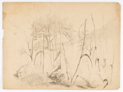 Landskap av Solon H. Borglum
