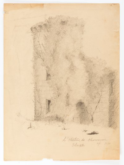 Le Chateau de Chevenevase av Solon H. Borglum