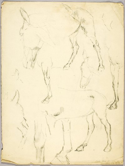 Porträttstudie, Häststudie av Solon H. Borglum