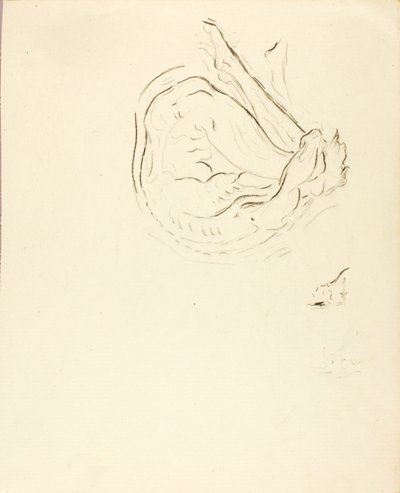 Simmare av Solon H. Borglum