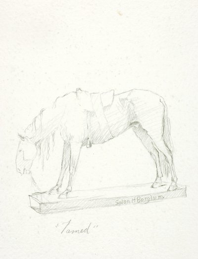Tämjd av Solon H. Borglum