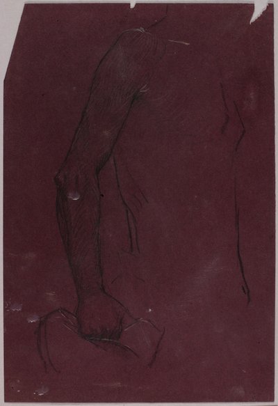 Torso, studie till ryttarmonument av Solon H. Borglum