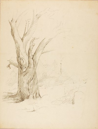 Utan titel av Solon H. Borglum