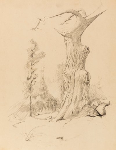 Utan titel av Solon H. Borglum