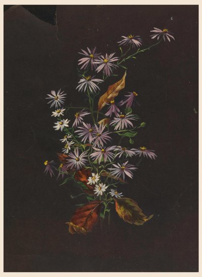 Höstbukett, ca. 1890 av Sophia L. Crownfield