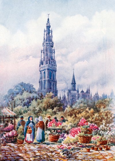 Katedralen och Place Verte, Antwerpen (färglitografi) av Sophie D