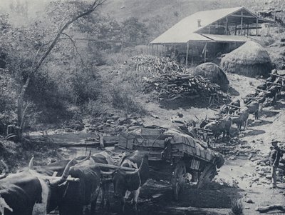 A Wagon Break-down, Scotsman Reef, Baberton (s/v foto) av South African Photographer