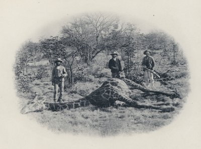 Storviltsjakt i Transvaal (s/v foto) av South African Photographer