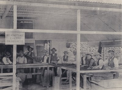 Diamond Sorting, Wesselton Mine (s/v foto) av South African Photographer