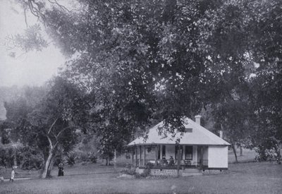 Mitchell Park, Durban (s/v foto) av South African Photographer