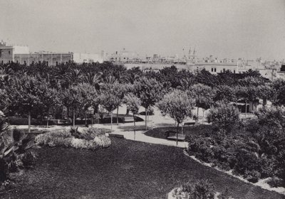 Cadiz: Parque Genoves (s/v foto) av Spanish Photographer