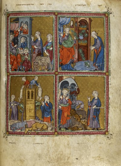 Lägg till. 27210, f.12v Scener från Exodus: Plågorna med löss, grodor, murrain och pest, illustrationer från 