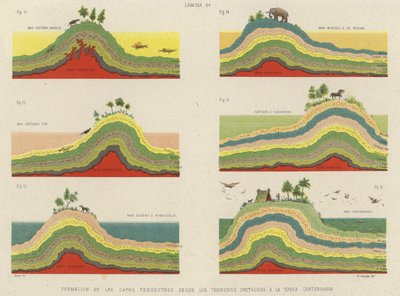 Bildandet av jordskorpans lager från kritaperioden till kvartärperioden (färg litho) av Spanish School