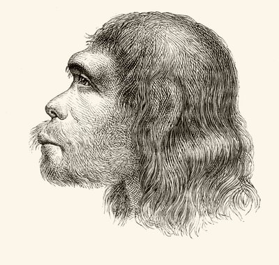 Head of a Neanderthal Man, från 