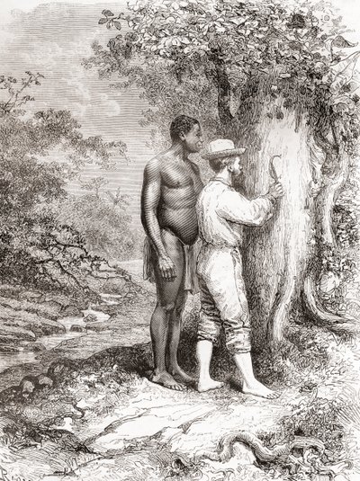 Jules Crevaux, under sin utforskning av Franska Guyana 1878, ristade sina initialer på ett träd på stranden av floden Oyapock eller Oiapoque av Spanish School
