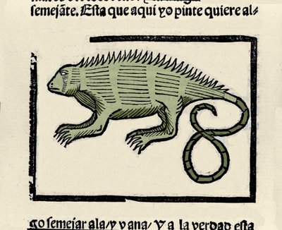Representation av en leguan. Gravyr från boken "Indiens, öarnas och fastlandets allmänna historia" av Gonzalo Fernandez de Oviedo (Gonzalo) eller Fernandez de, ou Hernandez de Oviedo y Valdes (1478-1557) av Spanish School