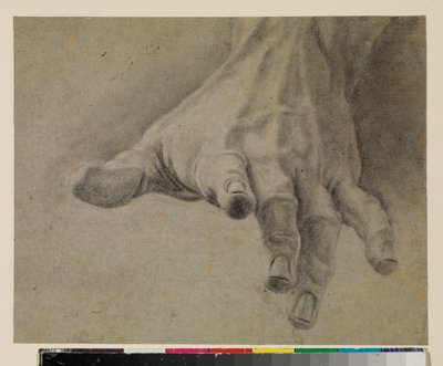 Studie av en vänsterhand, 1700-tal av Spanish School