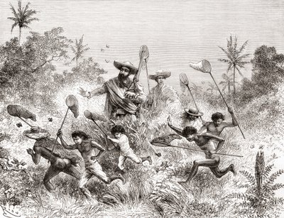 Édouard François André fångar fjärilar i Villavicencio, Venezuela under sin botaniseringsexpedition vid foten av Anderna 1875-76 av Spanish School