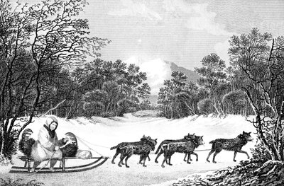 Sättet att resa på vintern i Kamtschatka, 1800-talet. av Sparrow