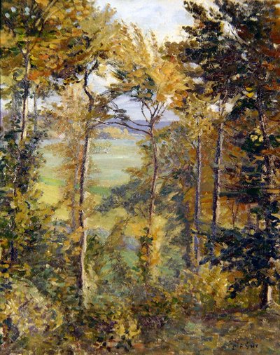 Skogbevuxen landskap vid Tibermont, Neuville Les Dieppes av Spencer Frederick Gore