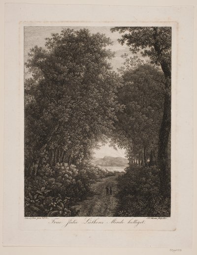 Skogsväg av Søren Henrik Petersen