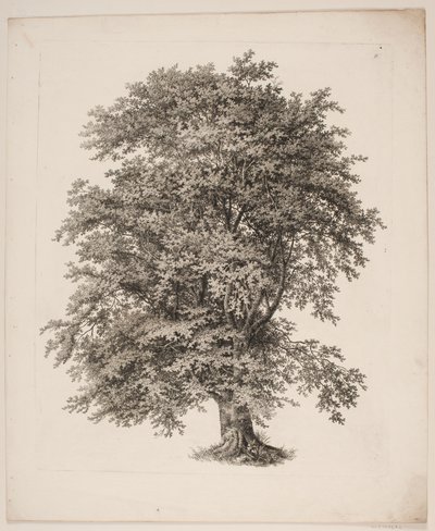 "Studier efter naturen med hänsyn till landskapsteckning av S.H. Petersen", nr 2 av Søren Henrik Petersen