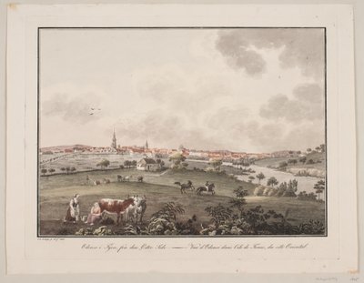 Odense på Fyn, från östra sidan av Søren L. Lange