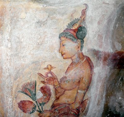 Utsikt över pigan av Sri Lankan School