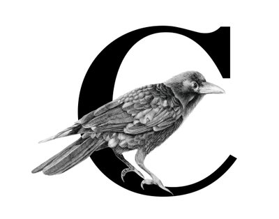 C står för Crow, 2018 (grafitpenna  digital) av Stacy Hsu