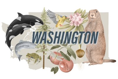 Washington State Symbols, 2018 (grafitpenna  digital) av Stacy Hsu