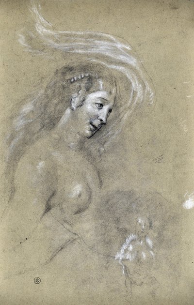 Studie av kvinnans profil (ritning) av Stanislas Torrents y de Amat