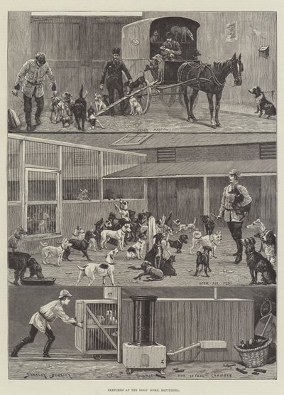 Skisser på hundhemmet, Battersea av Stanley Berkeley