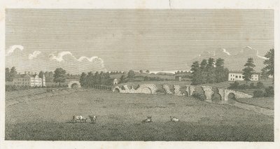 Wolseley Bridge: gravyr av Stebbing Shaw